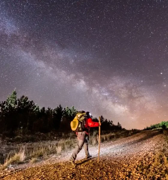 muestra Museo de Bellas Artes