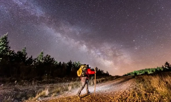 muestra Museo de Bellas Artes
