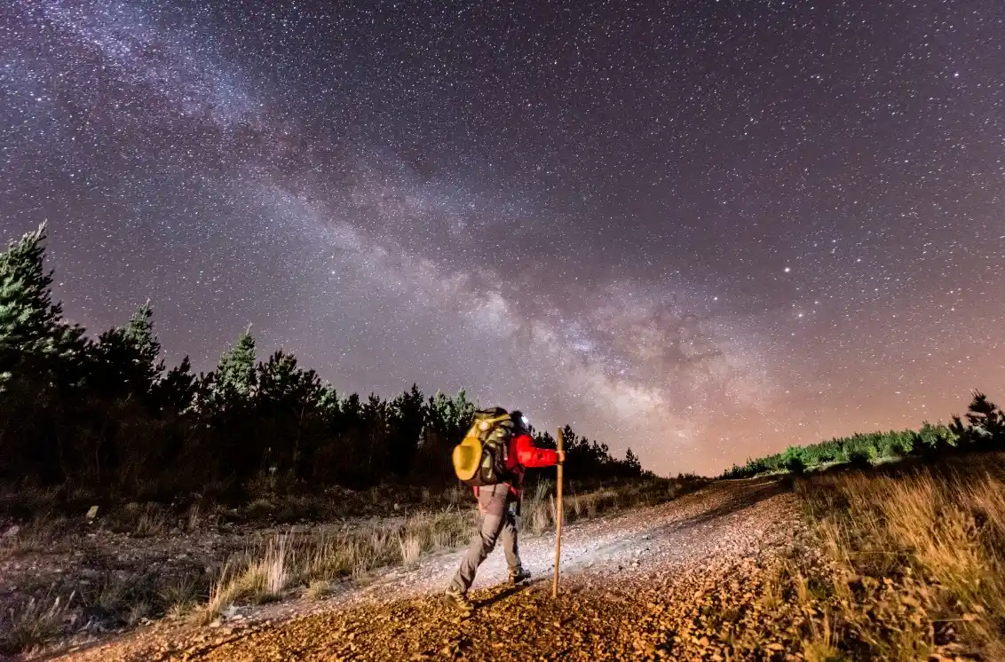 muestra Museo de Bellas Artes