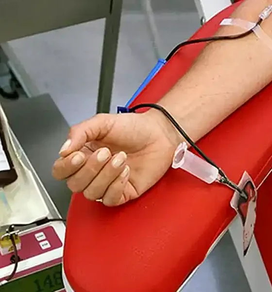 donación de sangre