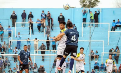 Flandria 4