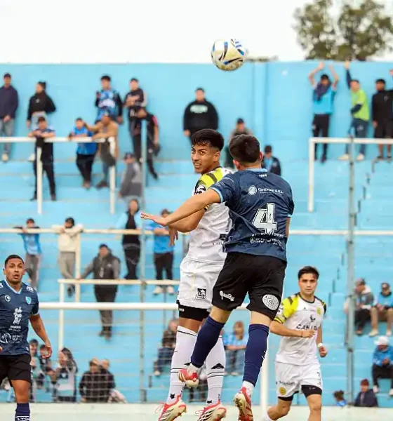 Flandria 4