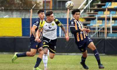 empate-flandria