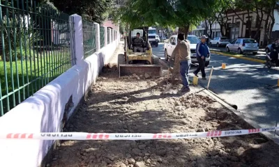 nuevas veredas