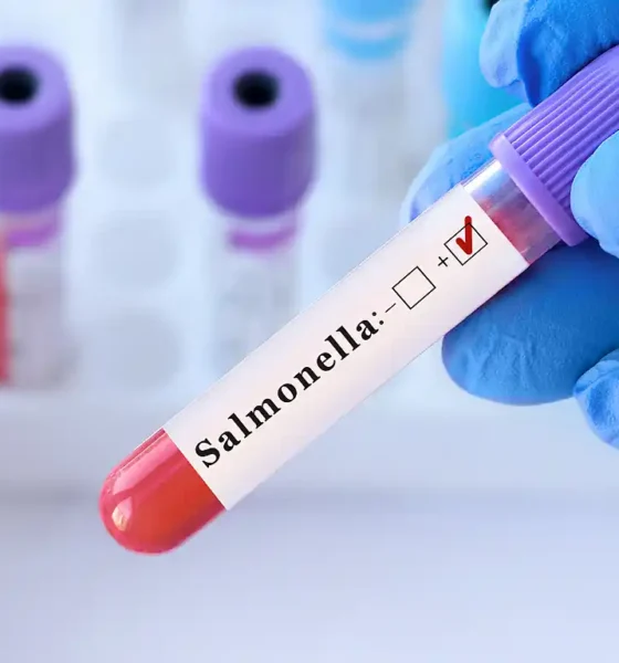 Investigación de la UNLu