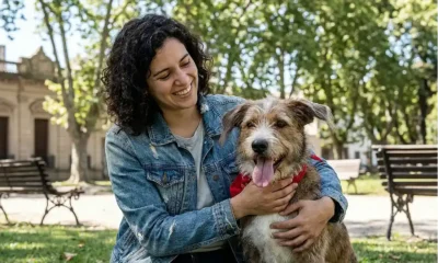 Perros adultos esperan ser adoptados en Zoonosis