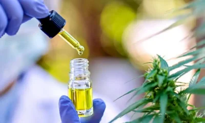 Nuevo consejo sobre Cannabis Terapéutico