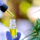 Nuevo consejo sobre Cannabis Terapéutico