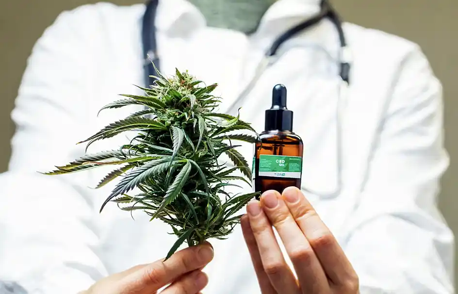 Nuevo consejo sobre Cannabis Terapéutico en la provincia de Buenos Aires 36 Nuevo consejo sobre Cannabis Terapéutico