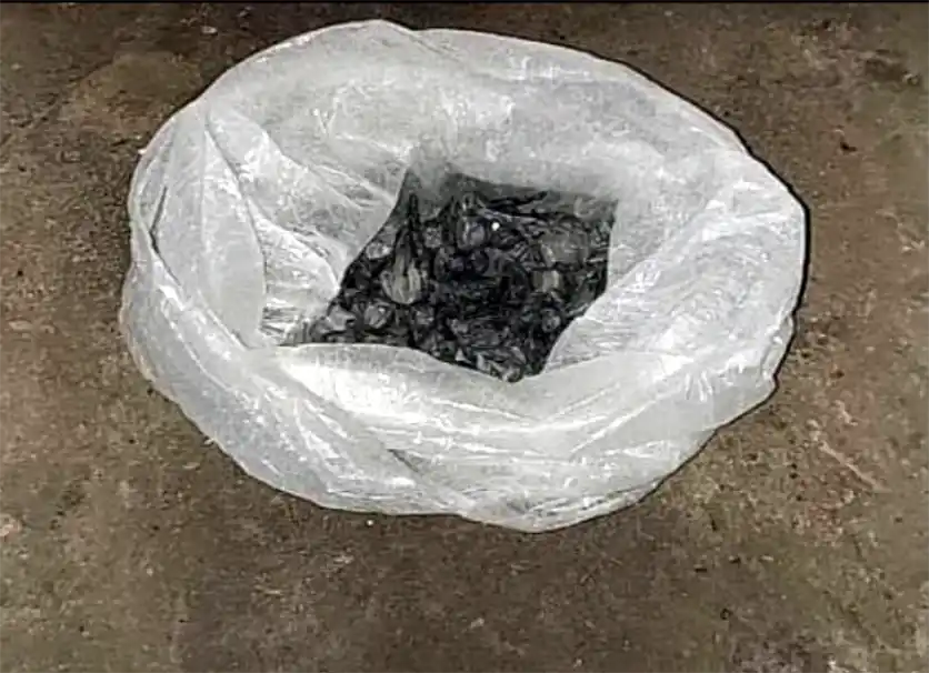 Allanamientos en Padre Varela: Investigan una red de venta de cocaína 34 Allanamientos en Padre Varela