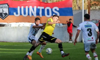 flandria armenio