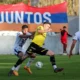 flandria armenio