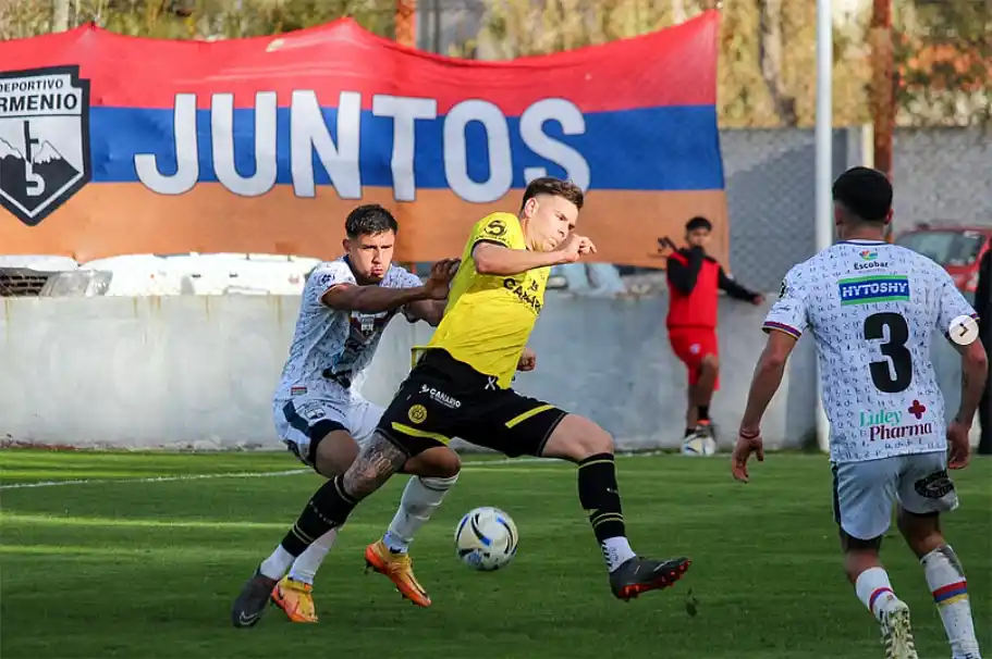 flandria armenio