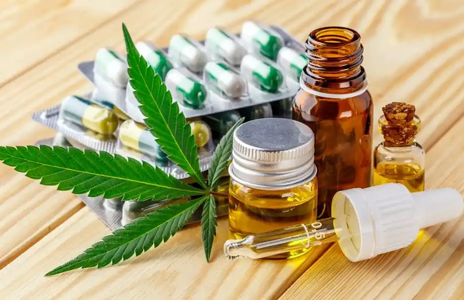 Nuevo consejo sobre Cannabis Terapéutico en la provincia de Buenos Aires 37 Nuevo consejo sobre Cannabis Terapéutico