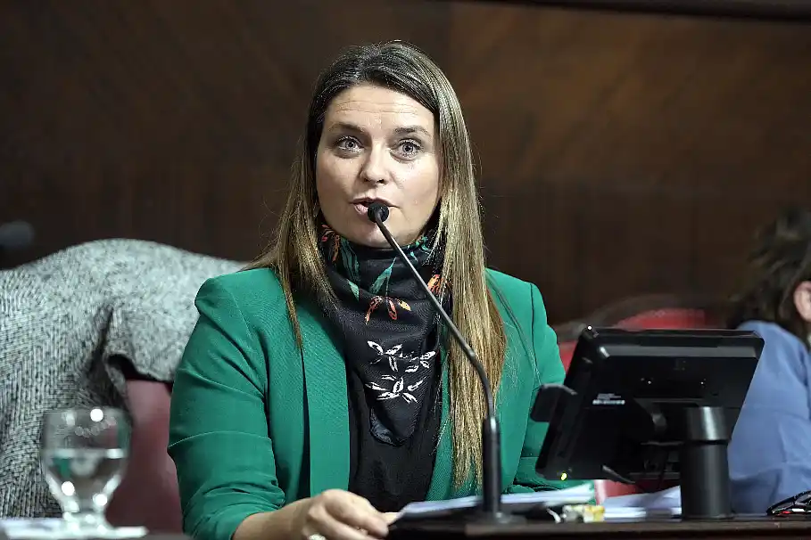 IOMA en crisis: reclaman declarar la emergencia de la obra social bonaerense 35 Senadora provincial Nerina Neumann