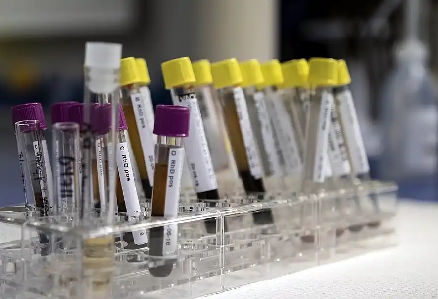 Datos Genéticos: la nueva ley bonaerense busca identificar restos humanos 36 Datos Genéticos bonaerenses
