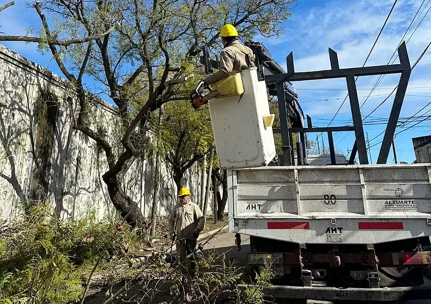 Residuos verdes: qué pueden hacer los vecinos para evitar multas al podar 34 Gestión de residuos verdes