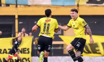 Flandria de local