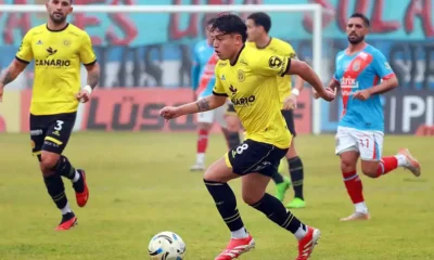 flandria arsenal