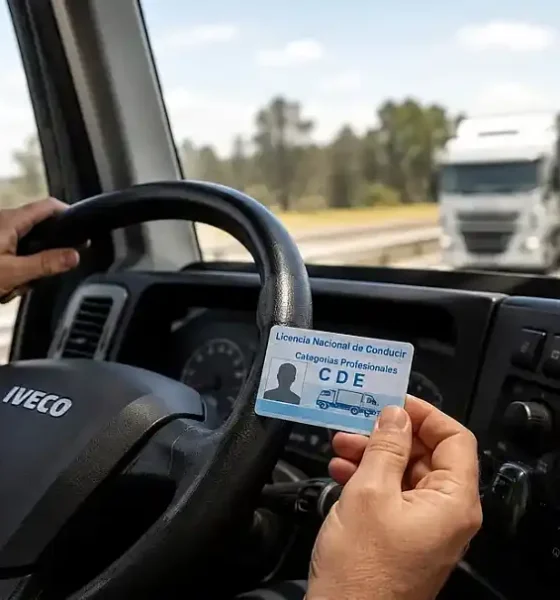 licencia conducir profesional