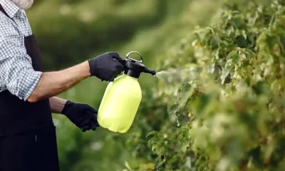 Prohibieron los productos Clean Lab en todo el país