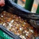 contaminación por monedas
