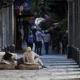Operativo con controles médicos y asistencia