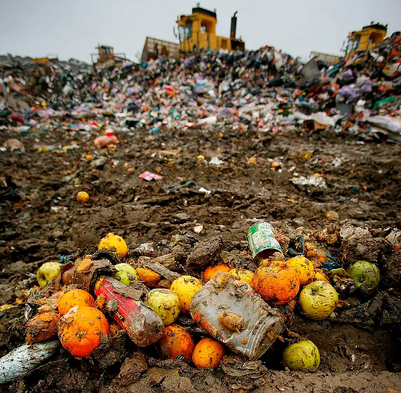 Concienciación sobre el Desperdicio de Alimentos: las claves para aprovechar mejor la comida 36 Concienciación sobre el Desperdicio de Alimentos