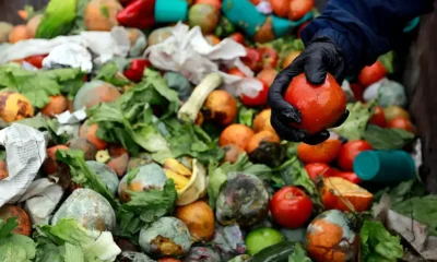 Concienciación sobre el Desperdicio de Alimentos