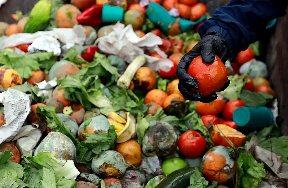 Concienciación sobre el Desperdicio de Alimentos