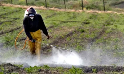colocación agroquímicos