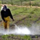 colocación agroquímicos