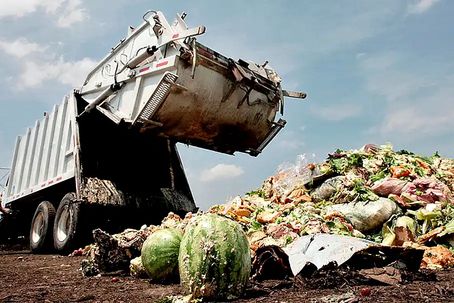 Concienciación sobre el Desperdicio de Alimentos: las claves para aprovechar mejor la comida 37 Concienciación sobre el Desperdicio de Alimentos
