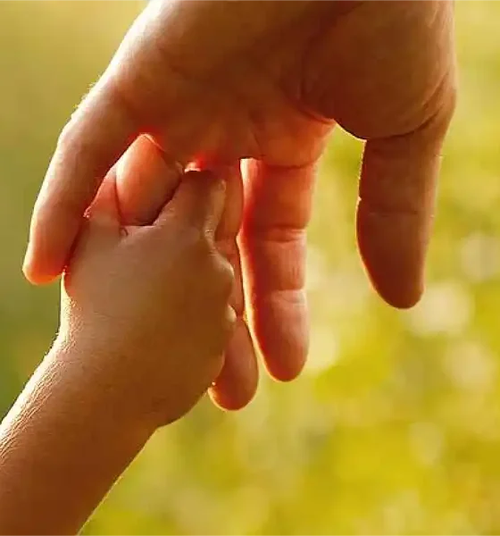 Familias Solidarias