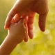 Familias Solidarias
