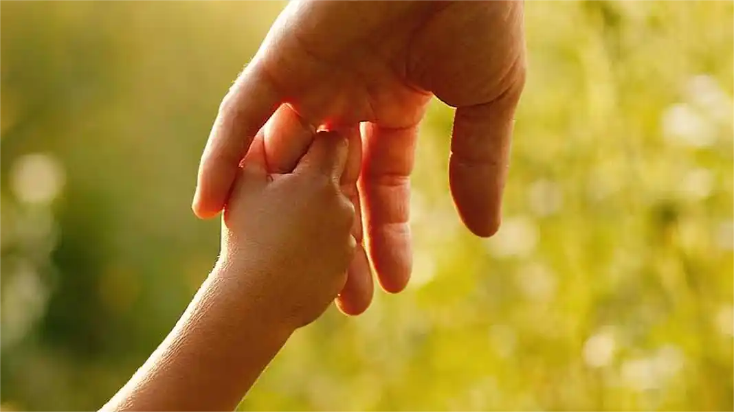 Familias Solidarias