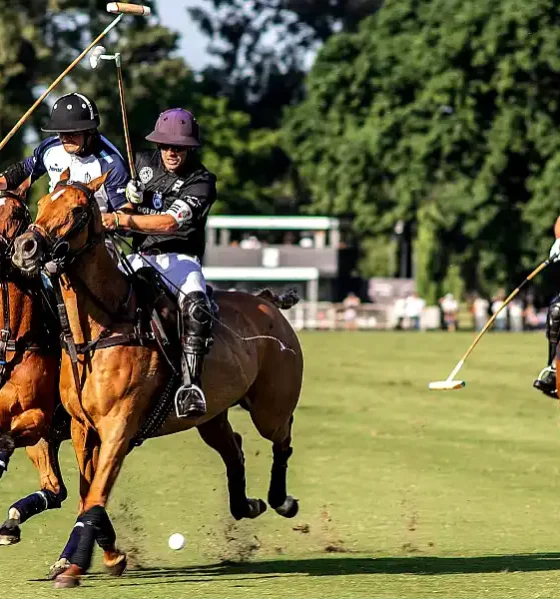 Luján busca potenciar su polo