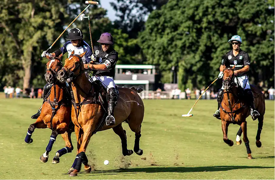 Luján busca potenciar su polo