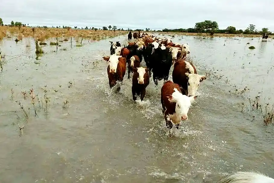 Crecida del Paraná
